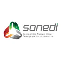 Sanedi Logo